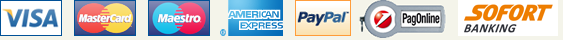 Visa MasterCard PayPal