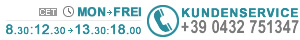 +39 0432 751347