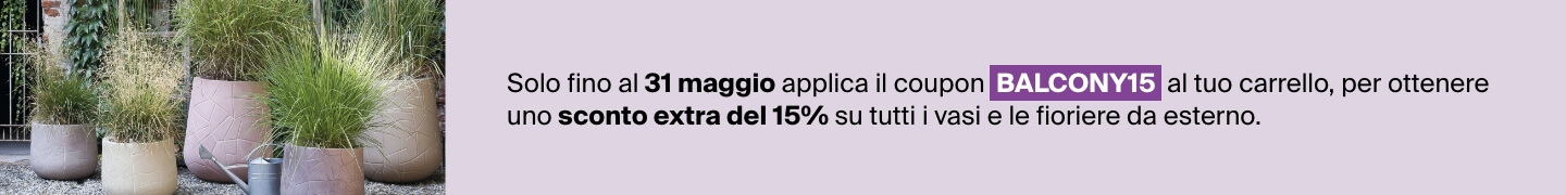 Vasi e fioriere