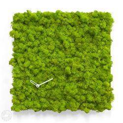 Lichene Verde 15 40 x 40 cm Specchio green design